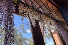 Navaratri-Puja-Oct-2022-Gidgegannup-WA-2
