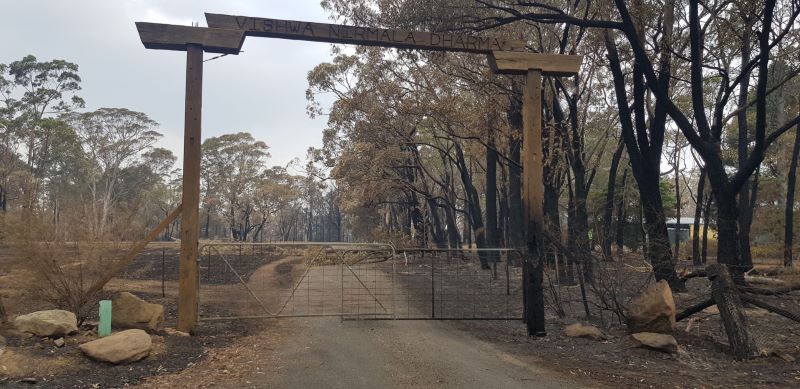 Balmoral-Damage-Gate